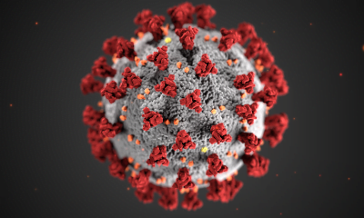 COVID-19 virus molecule