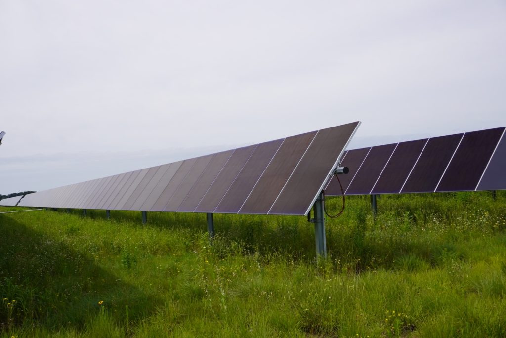 Rows of solar panels in a grassy Ohio field