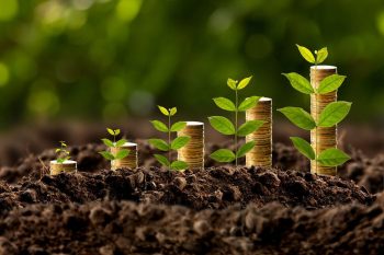 Gian-Foy-Explores-Different-Trading