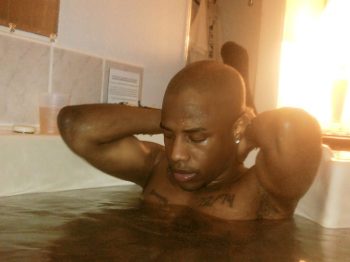 Horse-El-Caballo.Wren_