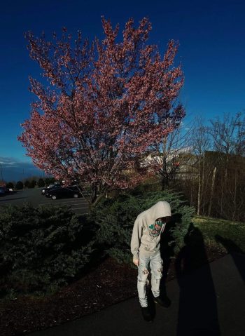 Tyler Larson Is Successful Artist & Enterpreneur