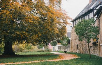 pexels-red-nguyen-19070031